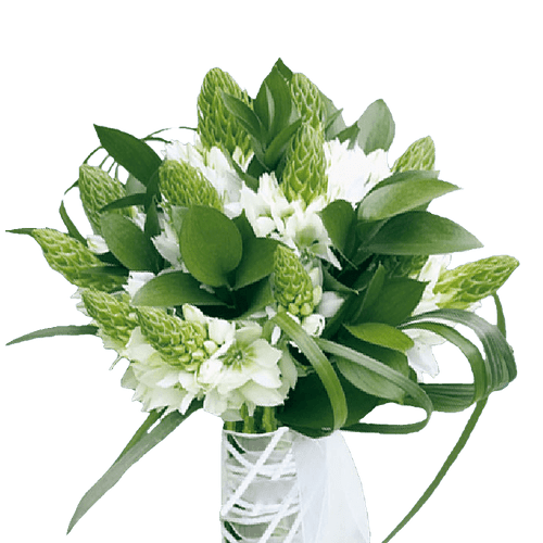 40 Stems Of Star Of Bethlehem- Beautiful Fresh Cut Flowers- Express Delivery