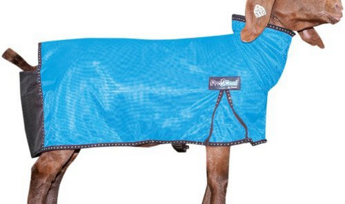Weaver 35-3559-b3 Procool Mesh Goat Blanket Hurricane Blue
