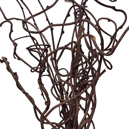 Kiwi Vine - Fresh Cut Flowers - 25 Stems - Brown - By Bloomingmore