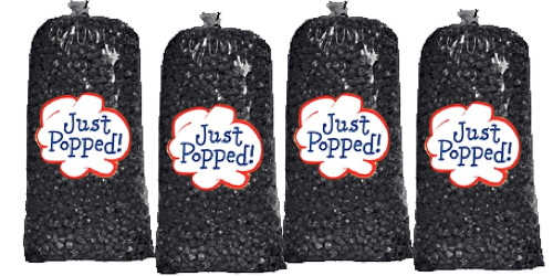 Just Popped Solar Eclipse Party Black Colored Party Popcorn 4-pack (72 Cups Per Case)