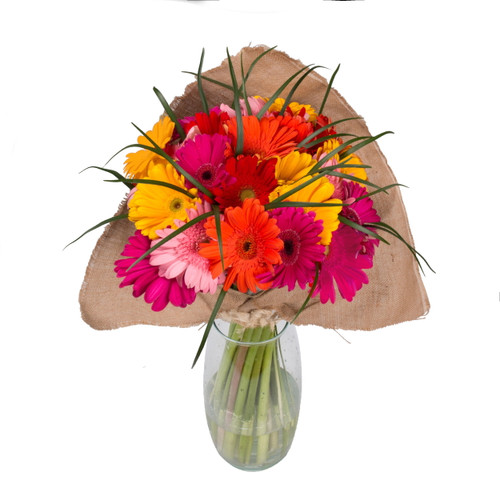 Rainbow Gerbera Bouquet With Burlap - Fresh Cut - 31 Stems