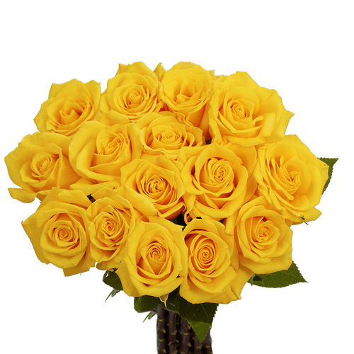 "globalrose 50 Yellow Roses - Fresh Flowers For Birthdays, Weddings Or Anniversary"