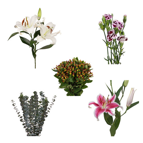 Diy Design Collection - Sweet Party - 80 Stems