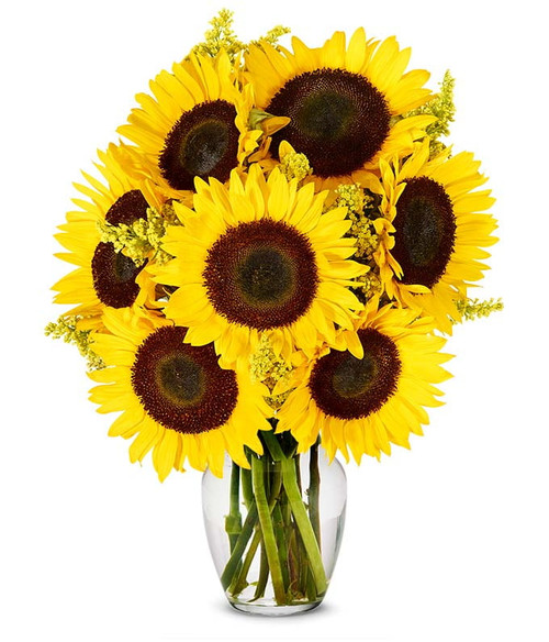 From You Flowers - Stunning Sunflowers With Free Vase (fresh Flowers)