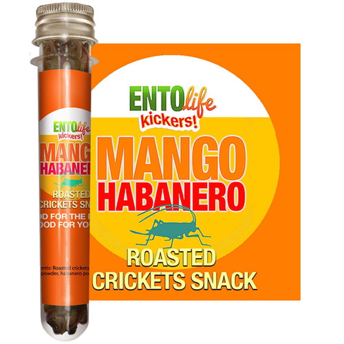 Mini-kickers Mango Habanero Flavored Cricket Snack
