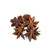 Whole Star Anise Seeds Pods (anis Estrella) 2 Oz