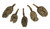 Josh's Frogs Magnolia Pods (includes 5 Pods)