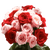 50 Stems Of Roses: 25 Red And 25 Pink- Beautiful Fresh Cut Flowers- Express Delivery