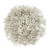 Gypsophilia, Xlence 5 Bunches Of White Baby's Breath Farm Direct Fresh Cut Flowers By Bloomingmore