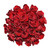 Red Roses Gift 40 Cm - Fresh Cut Flowers - 24 Stems - By Bloomingmore