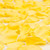 Rose Petals 3 Bags Of Yellow Farm Direct Fresh Cut Flower Petals By Bloomingmore