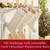Ghirardelli Bulk Dark Chocolate Peppermint Bark Special For Christmas (3 Pounds)