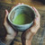 Premium Matcha