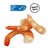 Sam's Choice Premium Frozen Cooked Medium Shrimp Cocktail Ring With Sauce, 32 Oz