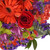 Blazing Mixed Bouquet - Fresh Cut Flowers - 10 Pack - Red, Purple By Bloomingmore