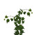 Bloomingmore Everyday Greenery Green Ivy - Fresh Cut - 150 Stems