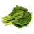 Gai Lan/chinese Broccoli, 1 Lb