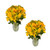 Golden Bloom Bouquet - Fresh Cut -  27 Stems - 2 Pack