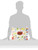Jelly Belly Jelly Beans, Gourmet, 50 Flavors