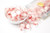 Starlight Mints (1 Pound Bag)