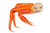 Fresh Cooked Snow Crab Clusters (1lb, 3 Count)