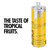 Red Bull Energy Drink, Tropical, Yellow Edition, 8.4 Fl Oz (pack Of 24)