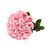 Light Pink Roses 40 Cm - Fresh Cut - 125 Stems