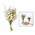 Natural Dried Flowers Dried Flower Arrangement Bouquet Plant Decoration Vase White