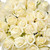 Roses - White - Fresh Cut Flowers - Events, Weddings, Birthday, Diy - 40 Cm - 125 Stems - By Bloomingmore