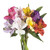 Alstroemeria 50 Stems Of Assorted Color Farm Direct Fresh Cut Flowers By Bloomingmore
