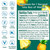 Stur, Orange Mango, 5 Pack