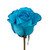 Tinted Turquoise Roses 50 Stems Of 50 Cm Farm Direct Fresh Cut Flowers By Bloomingmore