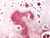 Onyx Bathhouse Birthday Party Vanilla Birthday Cake Bath Bomb, 4.9 Oz.