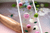 Onyx Bathhouse Birthday Party Vanilla Birthday Cake Bath Bomb, 4.9 Oz.