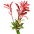 Photinias - Fresh Cut - 100 Stems