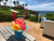 Pina Colada Ready To Use Hawaiian Shaved Ice Or Snow Cone Syrup Gallon (128 Fl. Oz)
