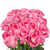 50 Stems Of Pink/lavender Attache Roses- Beautiful Fresh Cut Flowers- Express Delivery