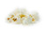 Troyer Amish Gluten Free, Non Gmo Tender Baby Yellow Popcorn - 2 Lb. Bag