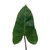 Esmeralda Philodendron - Fresh Cut - 90 Stems
