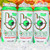 (12 Cans) Bang Natural Mango Bango Energy Drink, 16 Fl Oz