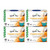Quiktea Vegan Turmeric-ginger Chai Tea Latte - 40 Count