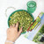 Azzizah's Herbal Green Popcorn - Superfood Snack, Savory - Cheesy, Vegan, 5oz