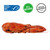 Sam’s Choice Wild Caught Whole Cooked Lobster, 22 Oz