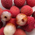 Four Elephants Premium Lychee - 20oz 6pk Certified Non-gmo And Gluten Free
