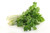 (price/case)commodity Turnip Greens #10 Can - 6 Per Case