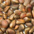 Bulk Nuts - Pinenuts - 5 Lb.