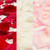 Rose Petals 3 Bags Of Red White And Pink Farm Direct Fresh Cut Flower Petals By Bloomingmore