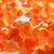 Rose Petals 3 Bags Of Orange Farm Direct Fresh Cut Flower Petals By Bloomingmore