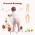 Costway 3-in-1 Baby Sit-to-stand Walker W/ Lights & Music Function