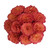 Garden Roses Sunset 36 Stems Of 40 Cm Orange Farm Direct Fresh Cut Flowers By Bloomingmore